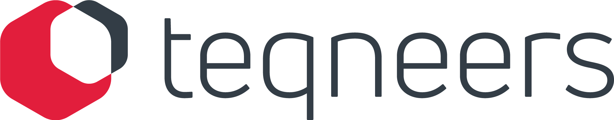 TEQneers GmbH & Co. KG